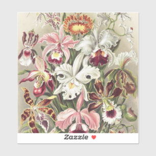 Sticker Impression botanique vintage d'orchidée par Ernst