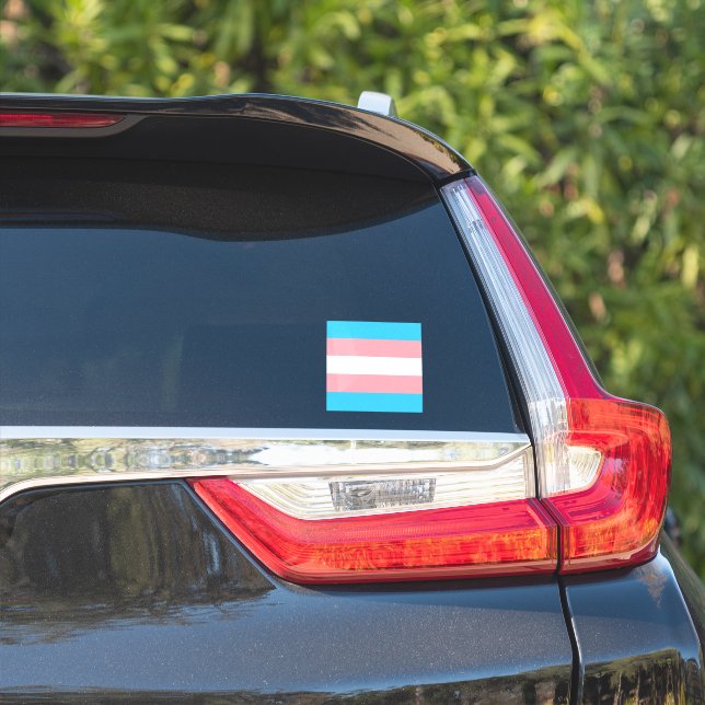 Sticker Indicateur transgenre personnalisé (Côté voiture)