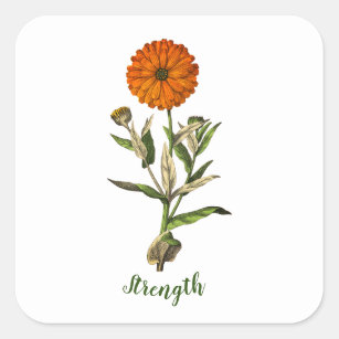 Sticker Inspirationnel de Marigold Strength