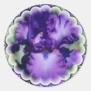Sticker Iris à poils violets