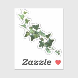 Sticker Ivy Vine Plante