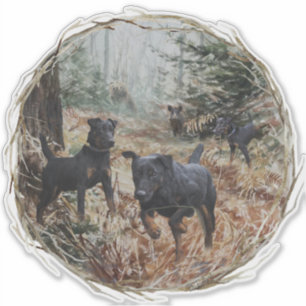 Sticker Jagdterriers, chiens de chasse tout autour.