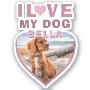Sticker J'aime mon chien rose Coeur Photo Nom de l'animal