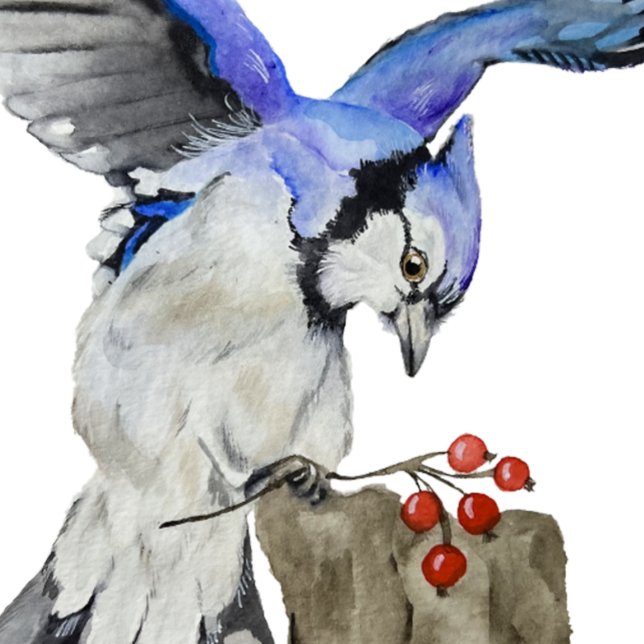 Sticker Jay bleu d'oiseau de la forêt (Créateur téléchargé)