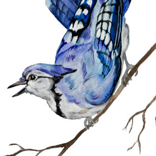 Sticker Jay bleu d'oiseau de la forêt
