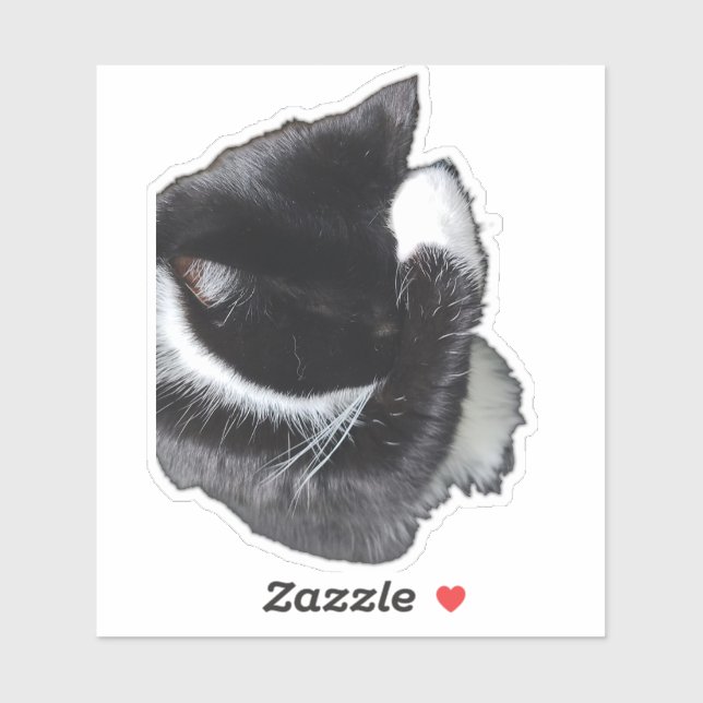 Sticker Je ne peux même pas là tout de suite (Feuille)