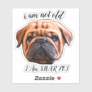STICKER JE NE SUIS PAS VIEUX STCKER