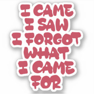Sticker Je suis venu, j'ai vu, j'ai oublié ce que je voula
