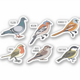STICKER JEU DE CONCEPTION D'ILLUSTRATION D'OISEAU