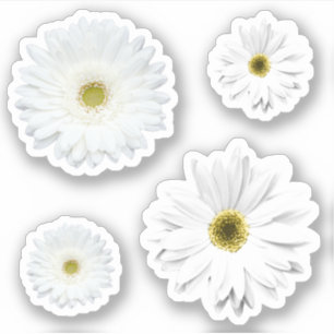 Sticker Jeu de Fleurs Blancs