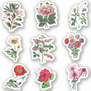 Sticker Jeu de fleurs Vintages esthétiques