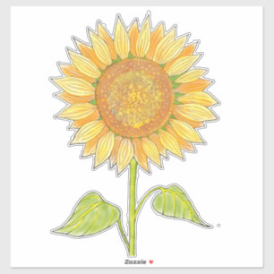 Sticker Joli Boho Art Aquarelle Jaune Tournesol