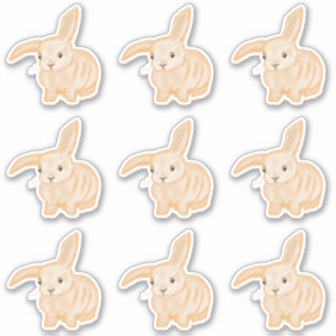 Sticker Joli lapin lapin Brown - 9x découpé.