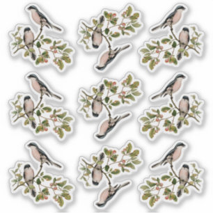 Sticker Joli Oiseaux Vintages Dans Le Berry Rouge