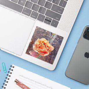 Sticker Jolie Pêche Prickly Pear Flower