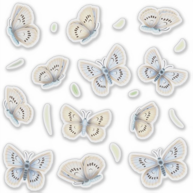 Sticker Jolies papillons Fenêtre transparente et miroir (Devant)