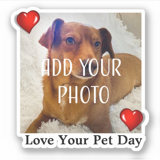 Sticker Journée d'amour pour votre animal (Devant)