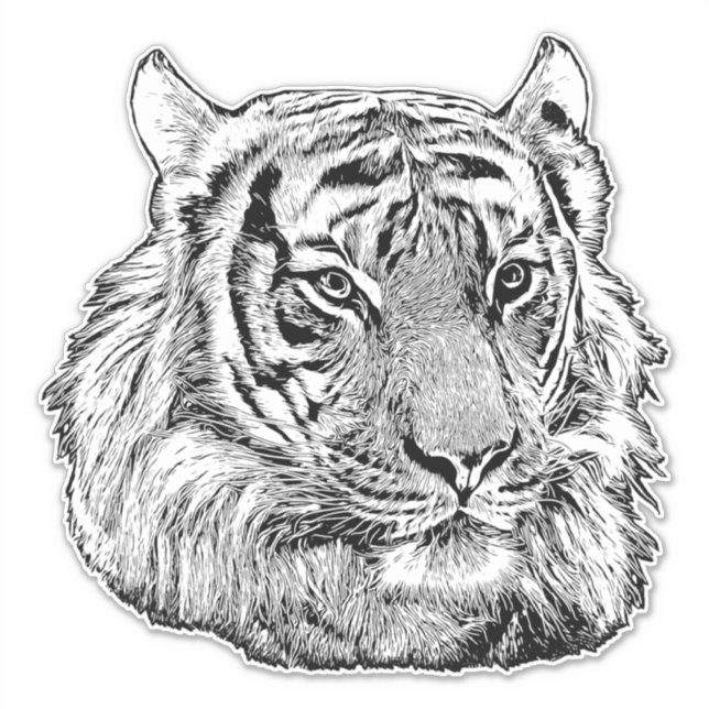 Sticker Jungle Tiger Face safari animal nature originale (Devant)