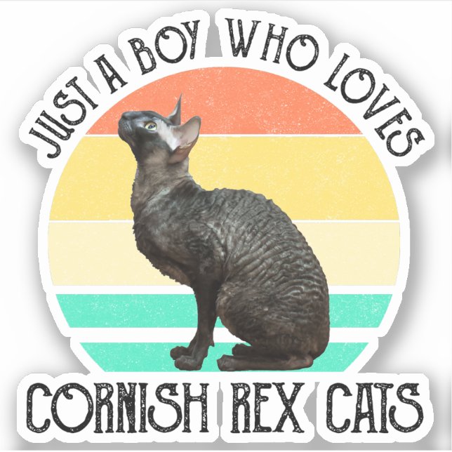 Sticker Juste un garçon qui aime les chats Cornish Rex (Devant)