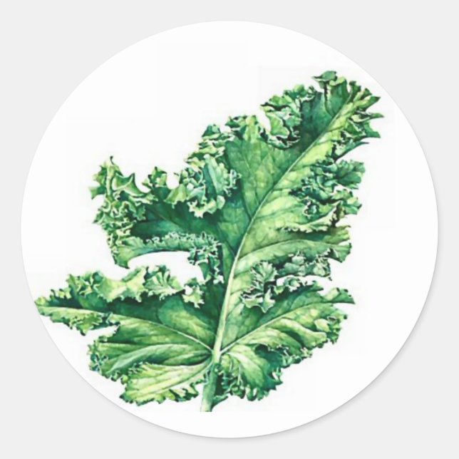 Sticker Kale (Devant)