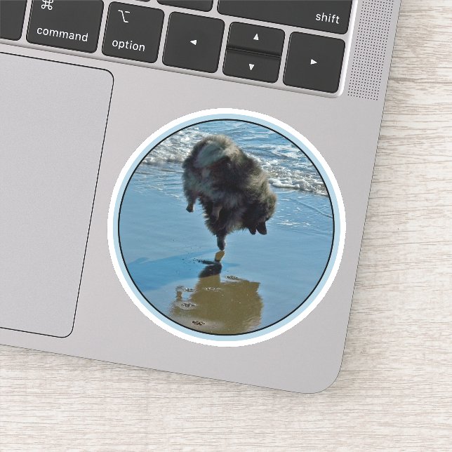 Sticker Keeshond Ballet Photographie - Joli chien d'origin (Détail)
