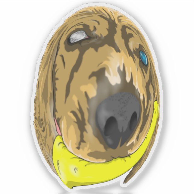 Sticker Keys & Banana, Miniature cocker spaniel 2 (Devant)