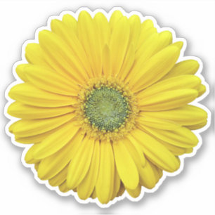 Sticker Kiss-Cut Fleur Gerber Jaune