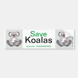 Sticker Koala-Bumper