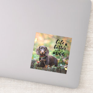 Sticker La vie d'un animal familier avec la photo est meil