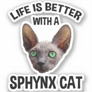 Sticker La Vie Est Meilleure Avec Un Chat Sphynx
