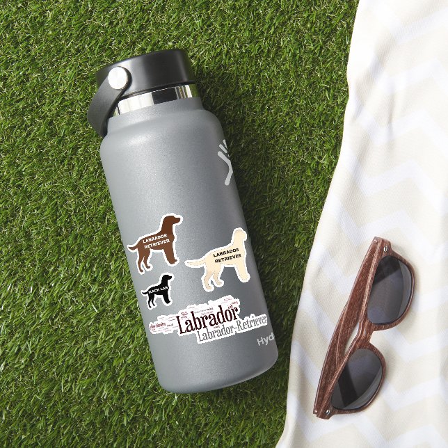 Sticker Labrador Retriever Mixité (HydroFlask Insitu)