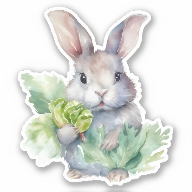 Sticker Lapin avec chou (Devant)
