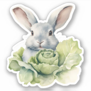 Sticker Lapin avec chou