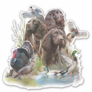 Sticker Le Boykin Spaniel