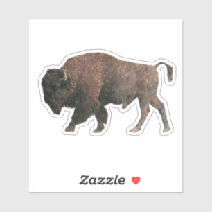 Sticker Le buffle sacré