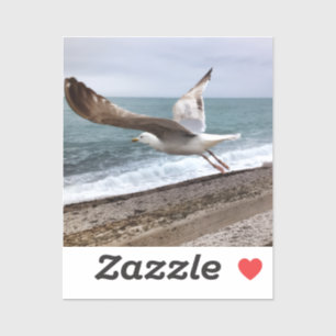 Sticker Le goëland d'Etretat français