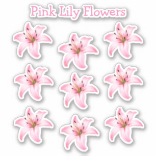 Sticker Le lis rose fleurit la nature de forme