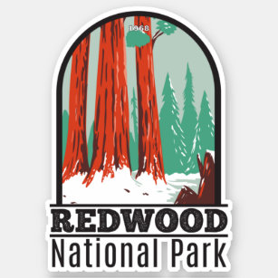 Sticker Le Parc National De Redwood En Californie D'Hiver
