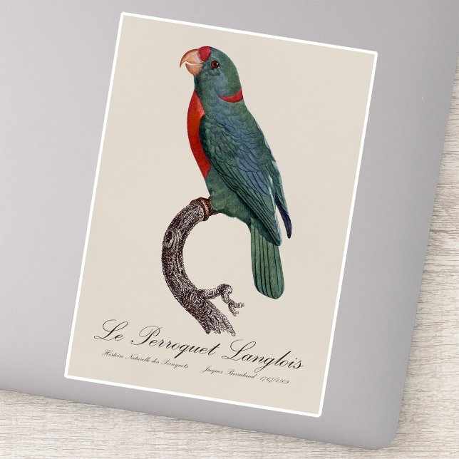 Sticker Le Perroquet Langlois de Jacques Barraband (Le Perroquet Langlois by Jacques Barraband. Sticker)