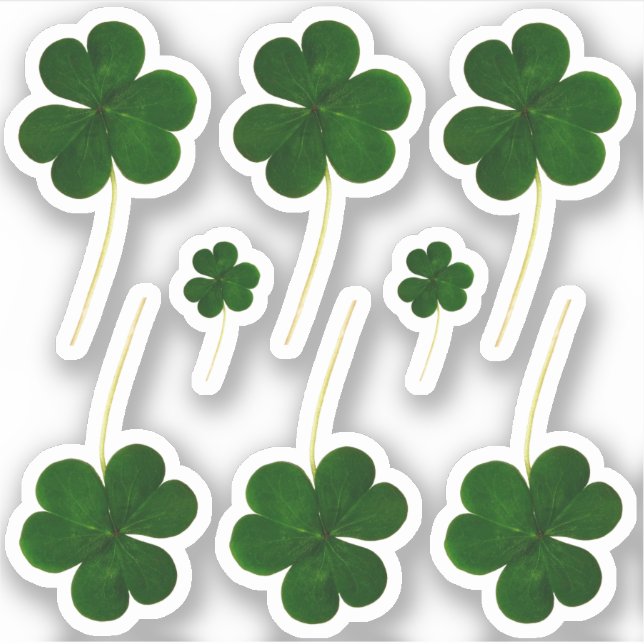 Sticker Le Shamrock irlandais Green Clovers St. Patrick's  (Devant)