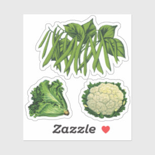 Sticker Légumes Anciens Haricots Verts Laitue Chou-fleur