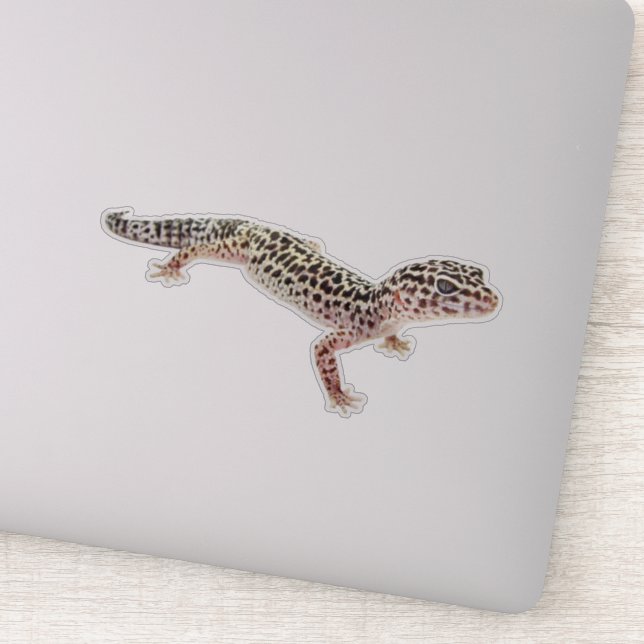 Sticker Leopard Gecko (Détail)