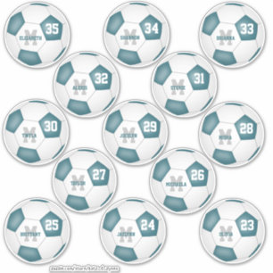 Sticker L'équipe blanche turquoise colore les joueurs indi
