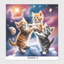 L'espace et un chat