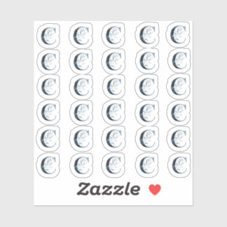 Sticker LETTRE AQUACOLE Bleue DE LA Marine "C" Mini Sticke