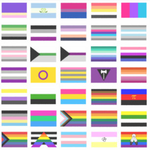 Sticker LGBTQ+ Pride flags