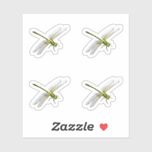 Sticker libellules
