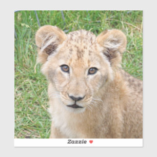 Sticker Lion