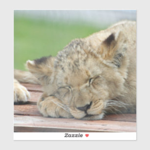 Sticker Lion 014