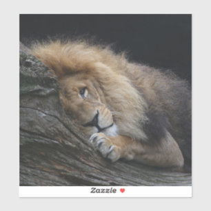 Sticker Lion 030